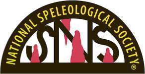 NSS Logo